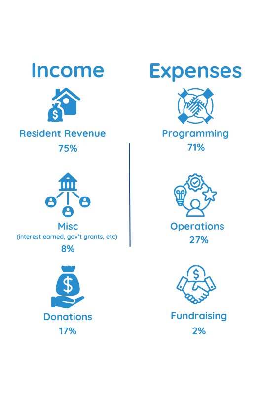 Income expense graphic - light blue